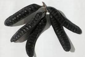 Ảnh minh hoạ: Internet