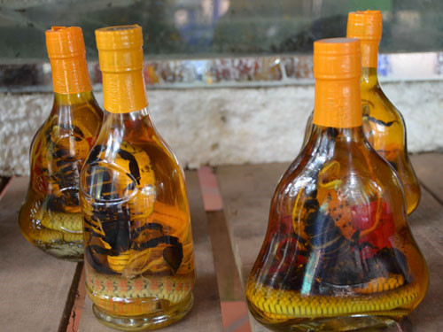 Ảnh minh hoạ: Internet