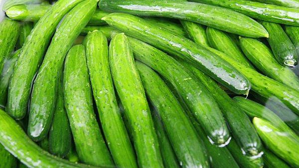 Ảnh minh hoạ: Internet