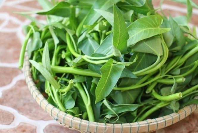 Ảnh minh họa: Internet