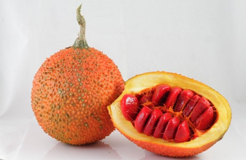 Ảnh minh hoạ: Internet