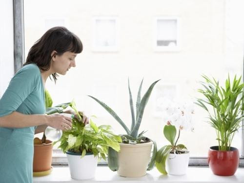 Ảnh minh hoạ: Internet