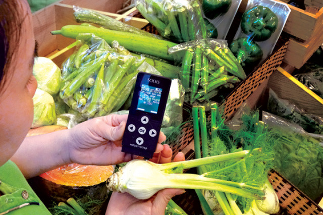 Ảnh minh hoạ: Internet