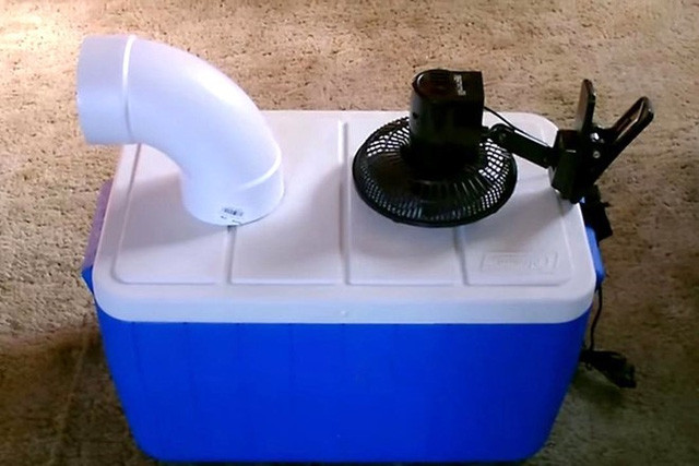 Ảnh minh hoạ: Internet