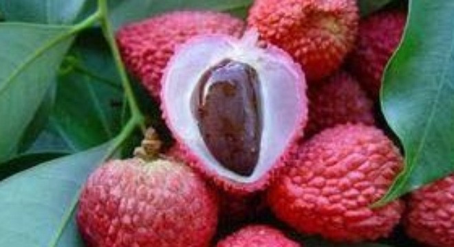 Ảnh minh hoạ: Internet