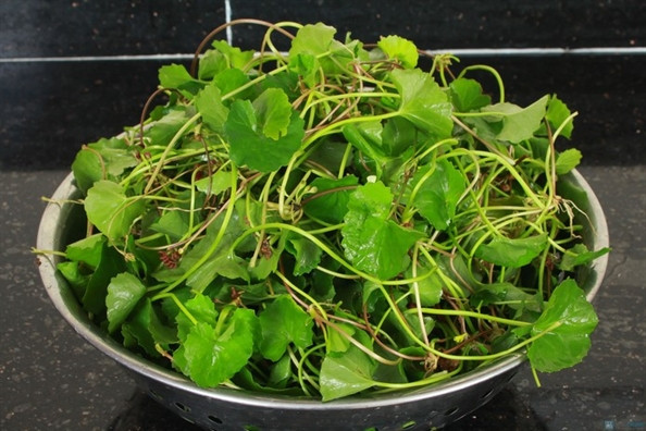 Ảnh minh họa: Internet