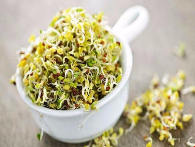 Ảnh minh họa: Internet