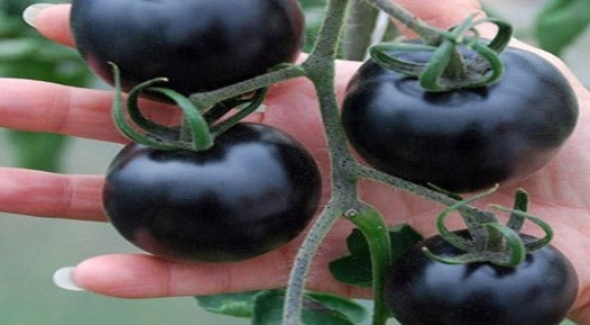 Ảnh minh họa: Internet