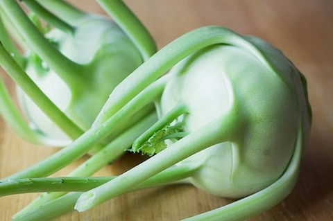 Ảnh minh hoạ: Internet