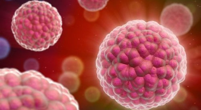 Ảnh minh họa: Internet