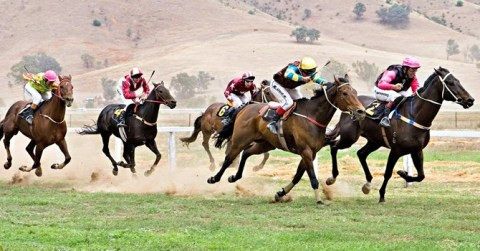 Thù lao chi trả cho Hội đồng giám sát cuộc đua do doanh nghiệp kinh doanh đặt cược chi trả. Hội đồng có quyền tạm dừng cuộc đua nếu thấy nghi ngờ gian lận.