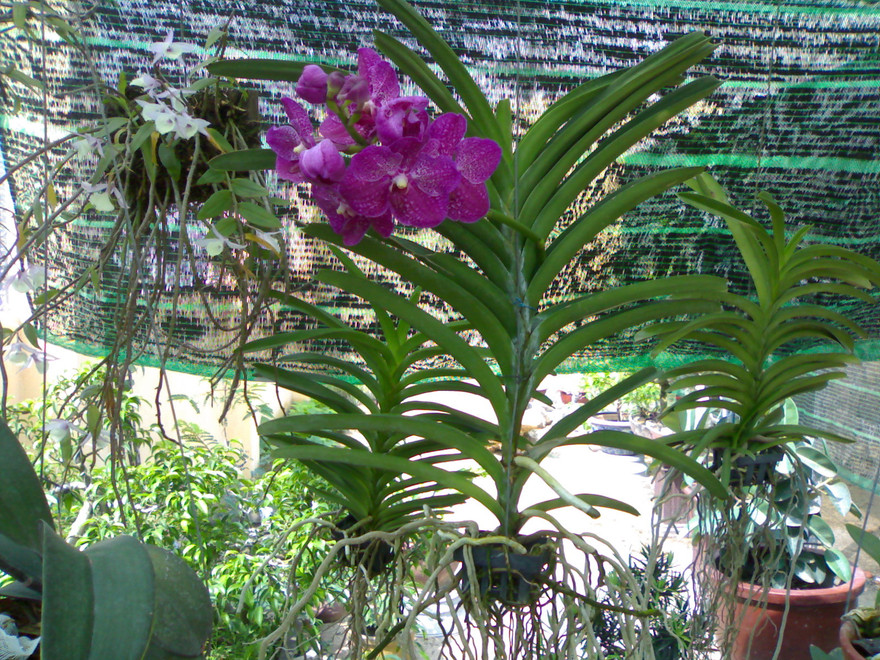 Ảnh minh họa: Internet