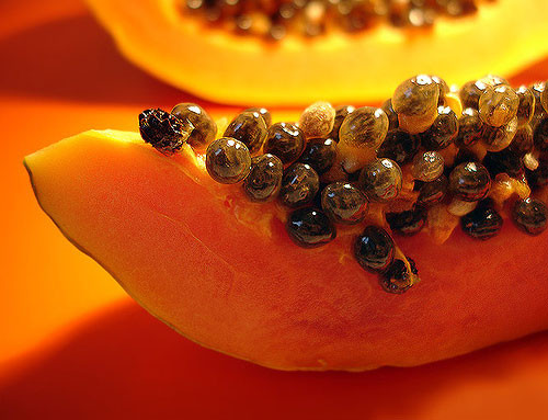 Ảnh minh họa: Internet