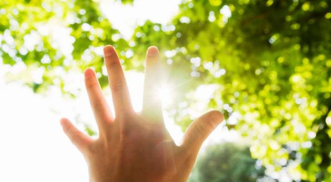 Ảnh minh họa: Internet