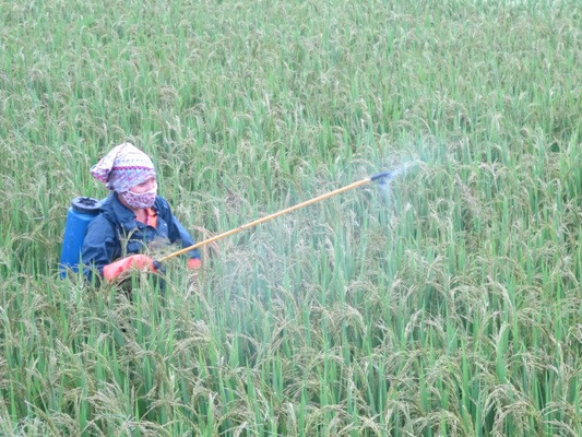 Ảnh minh họa: Internet