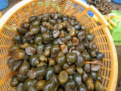 Ảnh minh họa: Internet