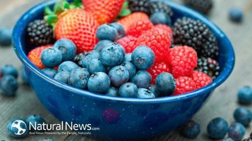 Ảnh minh họa: Internet