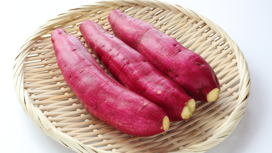 Ảnh minh họa: Internet