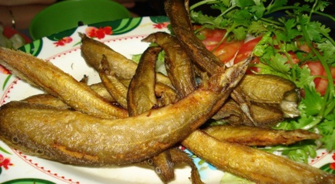 Ảnh minh họa: Internet