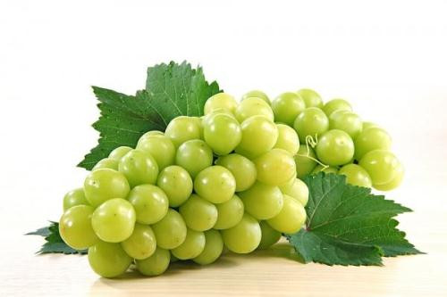 Ảnh minh hoạ: Internet