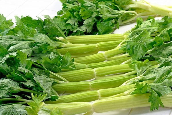 Ảnh minh hoạ: Internet