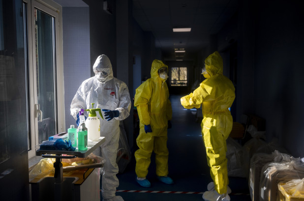 CÁc nhà khoa học Italia đã bắt đầu phát triển vắc xin SARS-CoV-2 từ kháng thể ở chuột.