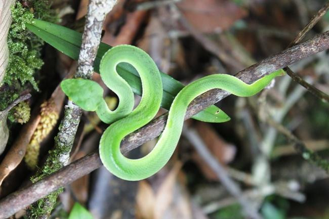 Ảnh minh họa: Internet