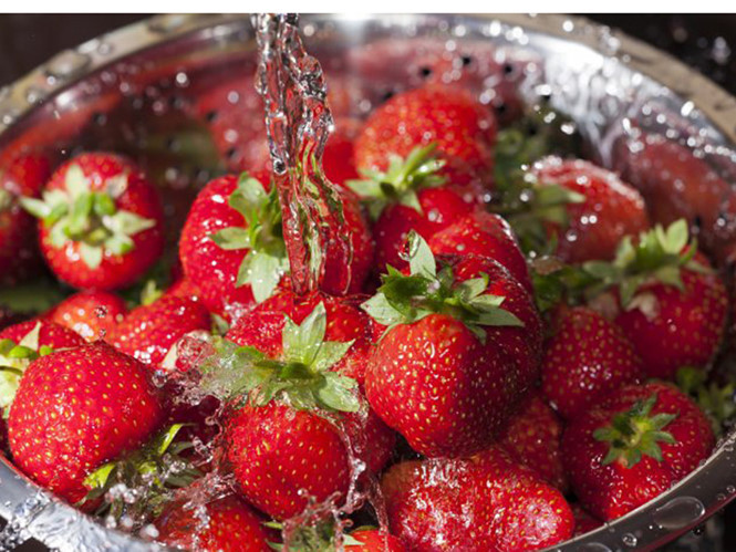 Ảnh minh hoạ: Internet