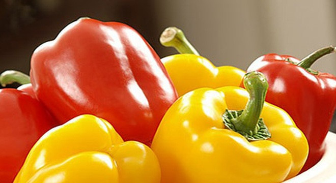 Ảnh minh hoạ: Internet