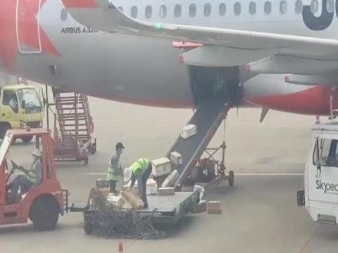 Hai nhân viên bốc xếp của Jetstar quăng quật đồ của khách bị sa thải. Ảnh cắt từ clip.