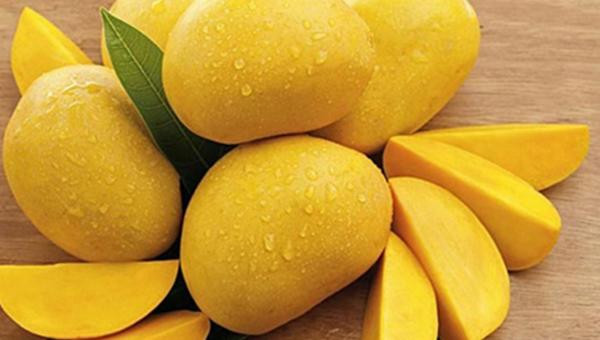 Ảnh minh hoạ: Internet