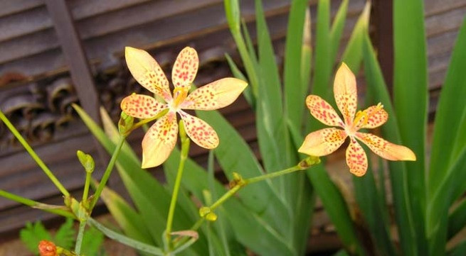 Ảnh minh họa: Internet