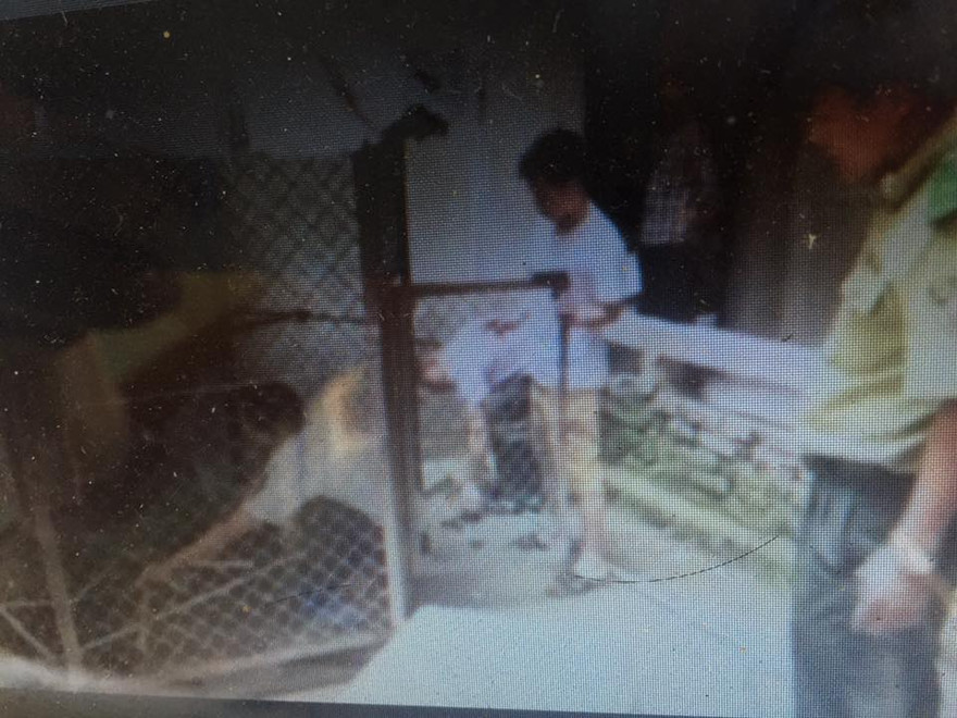 Lực lượng chức năng giải cứu con vượn trong nhà trùm ma túy Triệu Ký Voòng *ảnh: DC