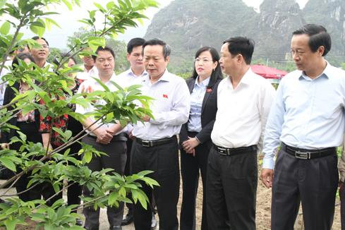 Phó chủ tịch Phùng Quốc Hiển (giữa) thăm mô hình na Chi Lăng *ảnh: TL