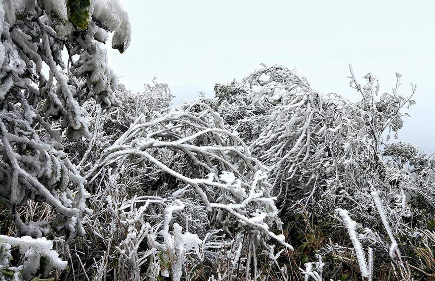 Mẫu Sơn như một cung điện mùa đông hoành tráng. Ảnh: Lăng Huy