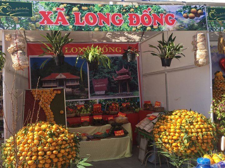 Quýt vàng Bắc Sơn trưng bày, giới thiệu tại Lễ hội .Ảnh: Duy Chiến