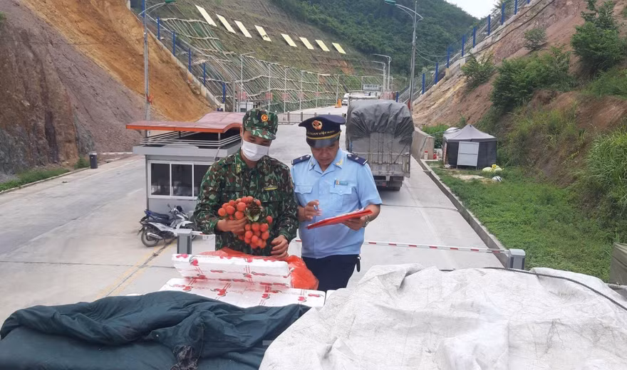Lực lượng Biên phòng, Hải Quan làm thủ tục xuất khẩu quả vải tươi sang Trung Quốc .Ảnh: Duy Chiến 