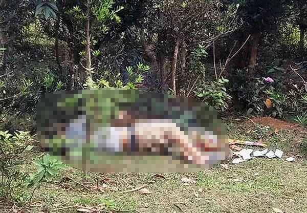 Hiện trường sự việc *ảnh: TL