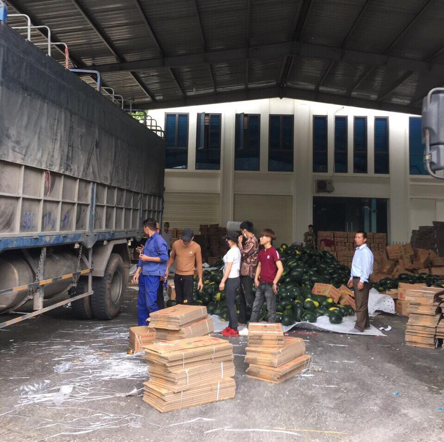Cho dù hôm nay (27/2), phía Trung Quốc đồng ý trao đổi, mua bán hàng nông sản như xưa, tuy nhiên do không có nhân công ở bên bãi sang ải của bạn nên nhiều doanh nghiệp đã tổ chức phân loại, đóng gói ngay tại cửa khẩu Tân Thanh .Ảnh: Duy Chiến