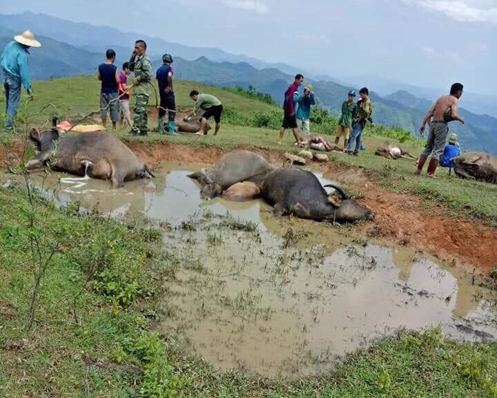 Hiện trường vụ việc .Ảnh: D. Chiến
