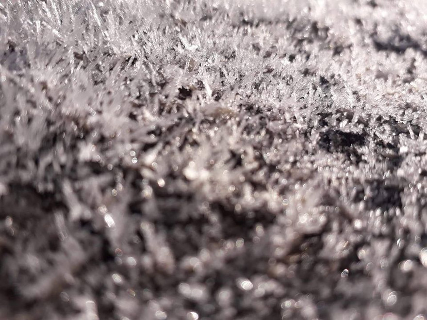 Băng giá tràn ngập cỏ cây, hoa lá ở Cao Bằng. .Ảnh Dương Dương