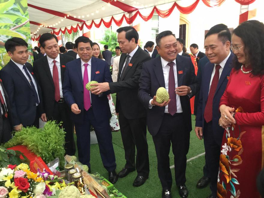 Các đồng chí lãnh đạo trung ương, địa phương thăm gian hàng huyện Chi Lăng, chiêm ngưỡng quả "na Hoàng hậu" .Ảnh: Duy Chiến