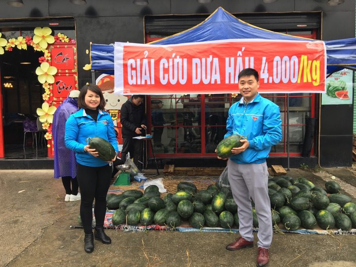 Tuổi trẻ Lạng Sơn thực hiện "giải cứu" dưa hấu giúp người dân miền Trung trong khi ách tắc hàng, không bán được .Ảnh: LT