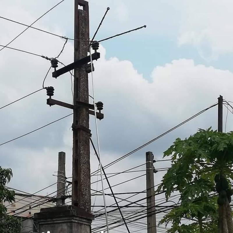 Ông Chung đã sử dụng sào bằng inox sát đường điện nên bị điện giật dẫn đến tử vong .Ảnh: TL