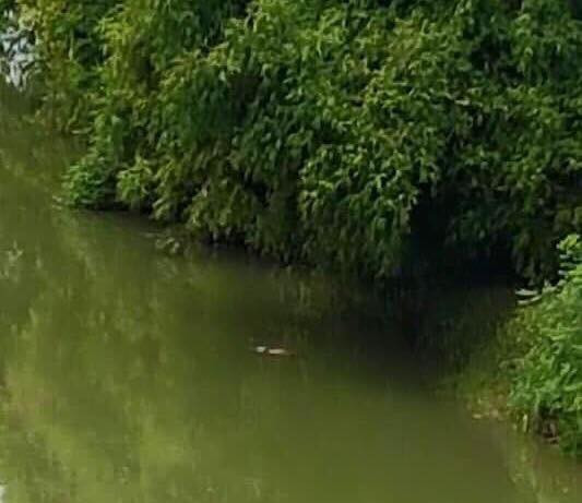 Hiện trường vụ việc .Ảnh: Duy Chiến