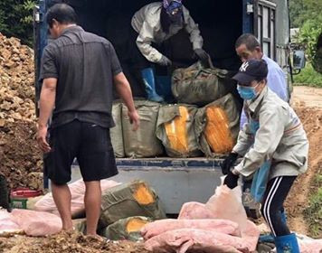 Tiểu hủy gần 3 tấn nầm lợn thối nhập lậu .Ảnh: H.K