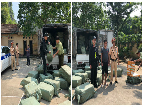 Lực lượng chức năng phát hiện đối tượng và hàng tấn nầm lợn nhập lậu .Ảnh: TL