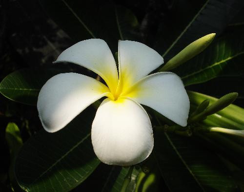 Ảnh minh họa: Internet