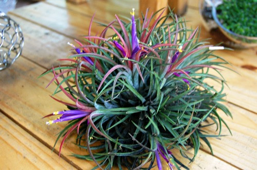 Ảnh minh họa: Internet