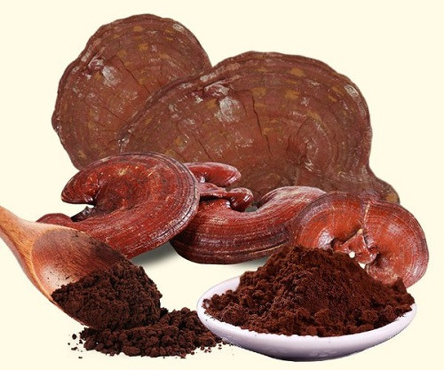 Ảnh minh hoạ: Internet